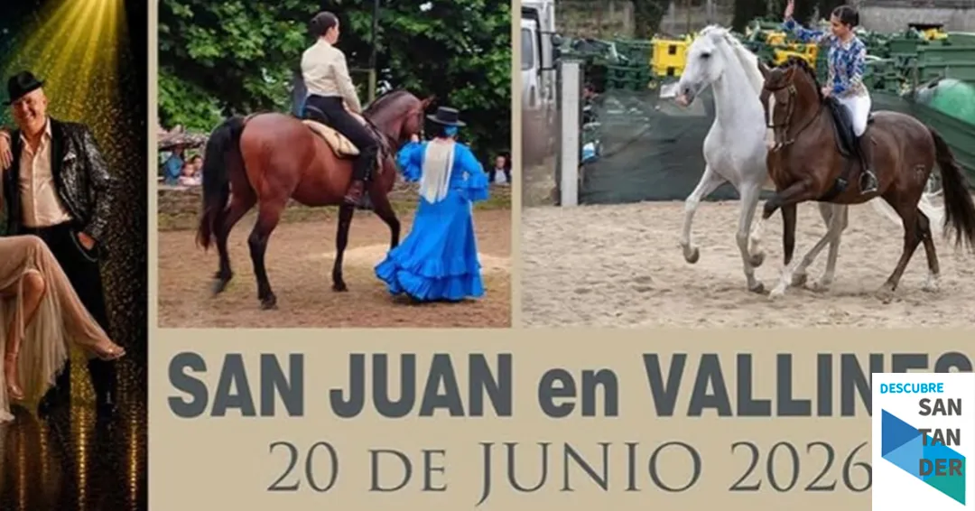 Programa San Juan en Vallines 2026