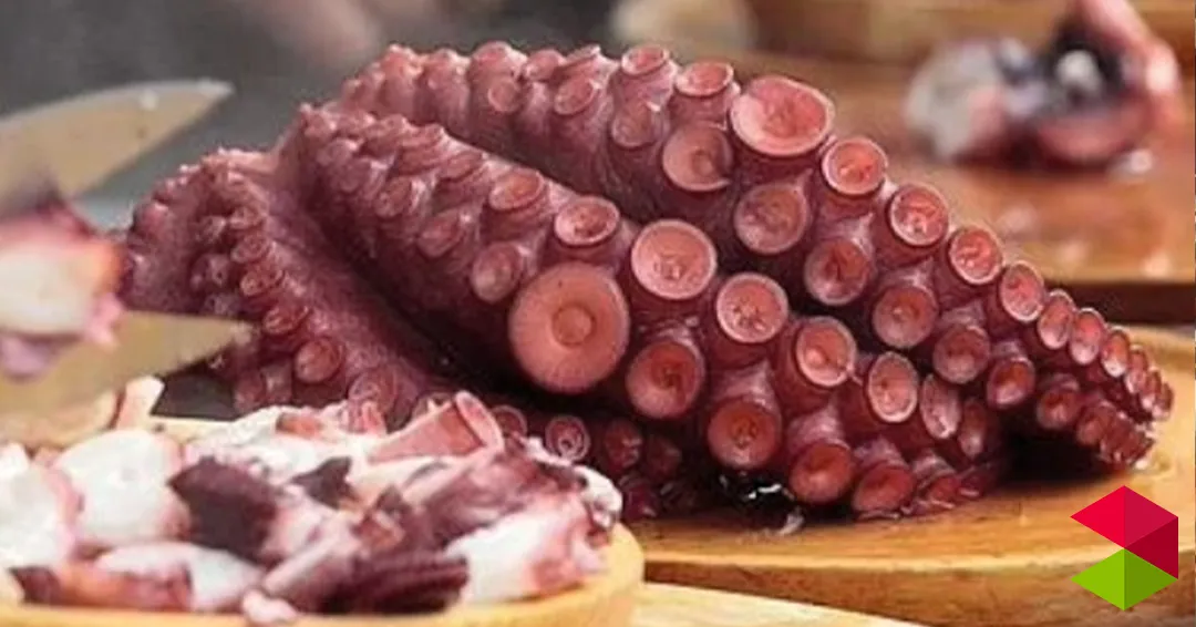 Horario feria de gastronomía Santander 2026