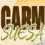 Programa Fiestas del Carmen Suesa 2026