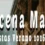 Programa fiestas Bárcena Mayor 2026