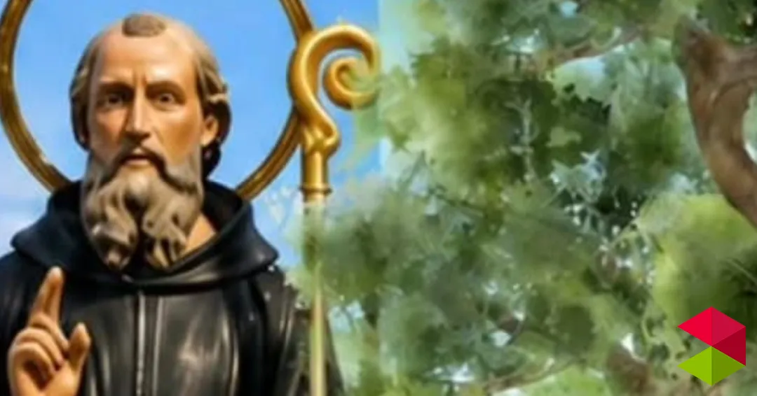 Programa San Benito en Barcenaciones 2026