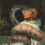 Reseña “Lluvia de frailes en la selva” de Evelio Rosero