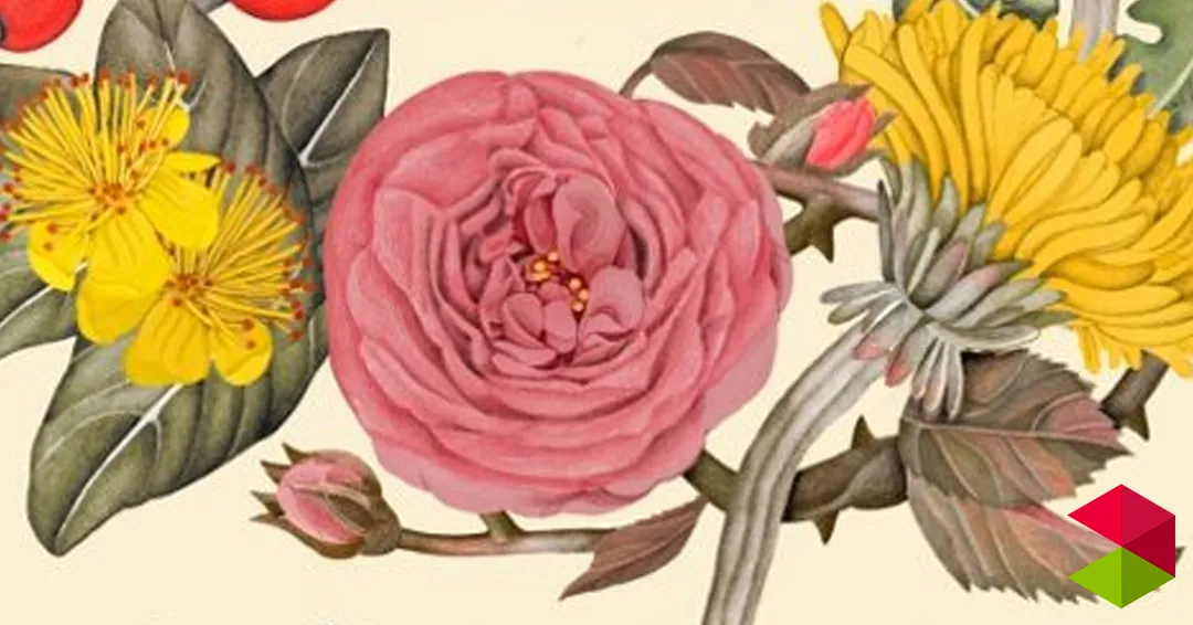 Reseña “Plantas que cuidan” de Nitdia Aznárez