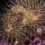 Horario fuegos artificiales fiestas Colindres 2026