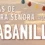 Programa Nuestra Señora en Abanillas 2026