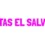 Programa San Salvador en Castanedo 2026