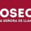 Programa fiestas Rioseco 2026