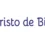 Programa fiestas del Cristo de Bielva 2026